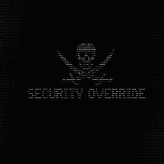 Kali Linux hacker wallpaper