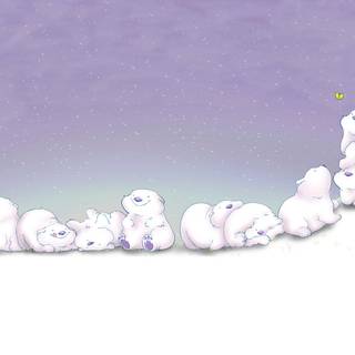 Cute Korean bear laptop wallpaper