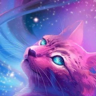 8k cat Android wallpaper