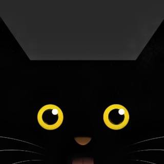 8k cat Android wallpaper