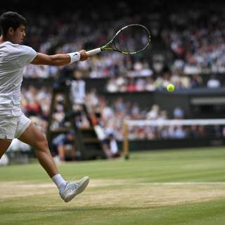 Carlos Alcaraz Wimbledon 2024 Champion wallpaper