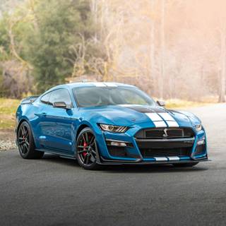 Ford Shelby Cobra HD wallpaper