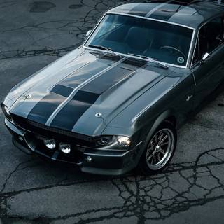 Ford Shelby Cobra HD wallpaper