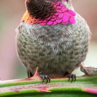 Cute 4k phone wallpaper