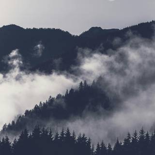 Cute 4k phone wallpaper