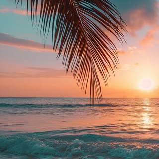 Beach sunset palm trees and ocean wallpaper