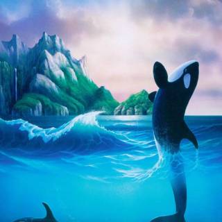 Killer whale 4k wallpaper