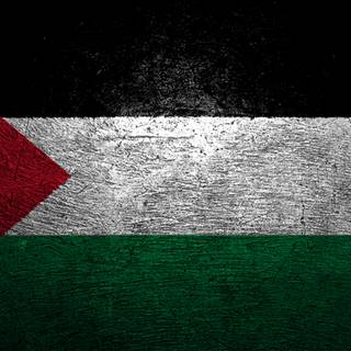 4k Palestine wallpaper
