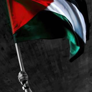 4k Palestine wallpaper