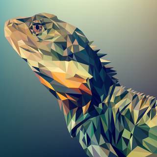 4k lizard wallpaper