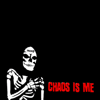 Orchid iPhone wallpaper