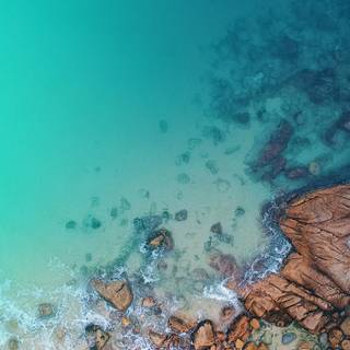 Dynamic Island iPhone 14 Pro wallpaper