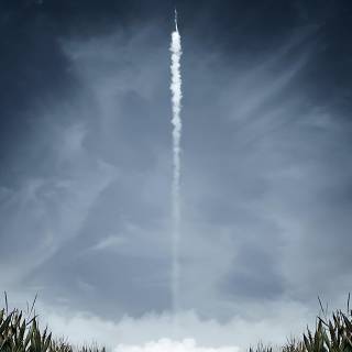 Film phone wallpaper