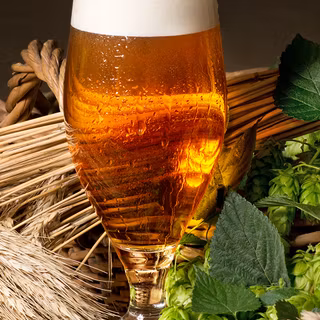 Beer phone wallpaper