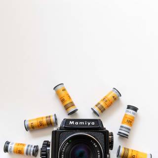 Film phone wallpaper