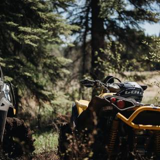 Can-Am iPhone wallpaper