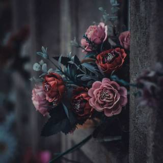 Black nature phone wallpaper