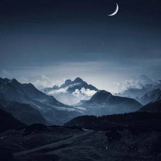 Black nature phone wallpaper