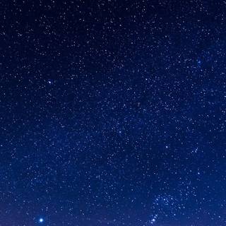 Black nature phone wallpaper