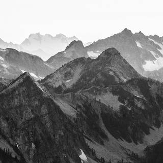 Black nature phone wallpaper