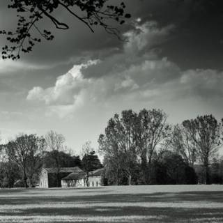 Black nature phone wallpaper