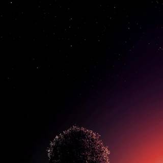 Black nature phone wallpaper