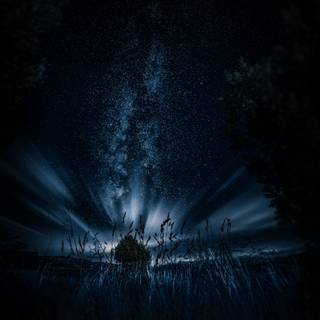 Black nature phone wallpaper