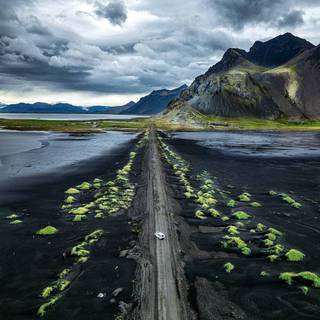 Black nature phone wallpaper