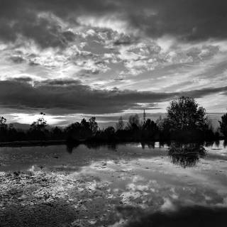 Black nature phone wallpaper