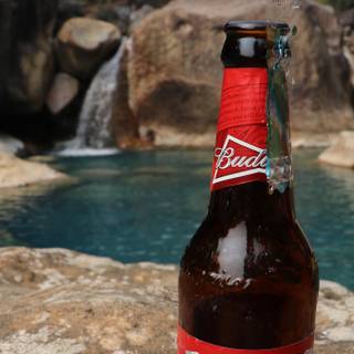 Beer phone wallpaper