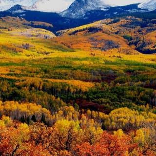 iPhone geography wallpaper