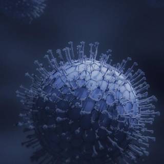 Phone virus wallpaper