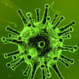 Phone virus wallpaper