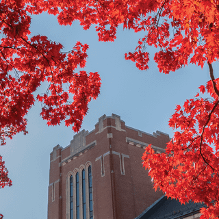 iPhone geography wallpaper