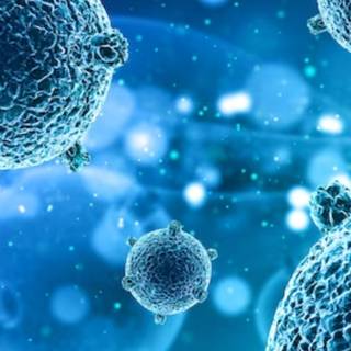 Phone virus wallpaper