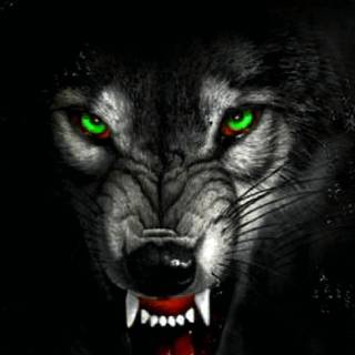 Anger phone wallpaper