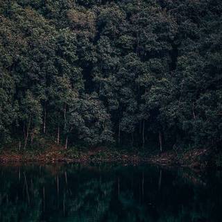 Dark iPhone XR wallpaper