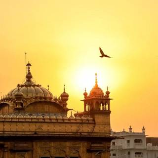 Golden Temple iPhone wallpaper