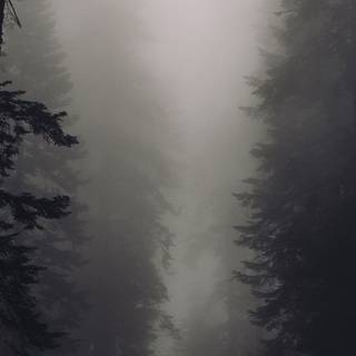 iPhone XR dark wallpaper