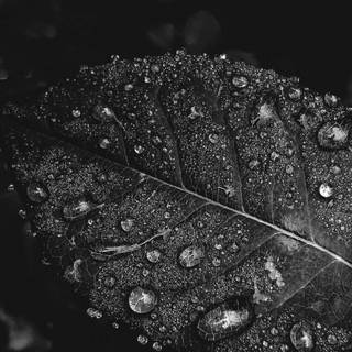 iPhone XR dark wallpaper