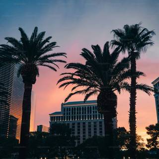 Las Vegas night wallpaper