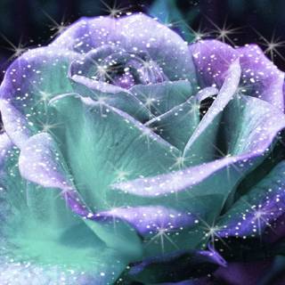 Blue rose sparkles wallpaper