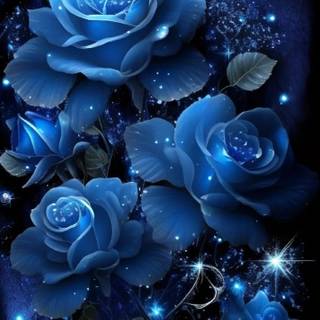 Blue rose sparkles wallpaper