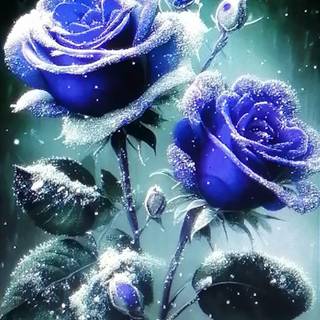 Blue rose sparkles wallpaper
