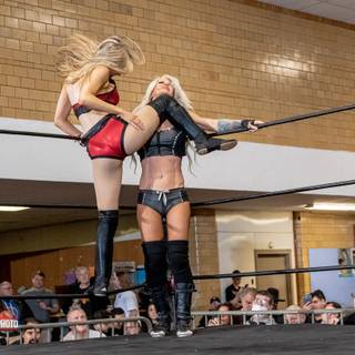 Zayda Steel wallpaper