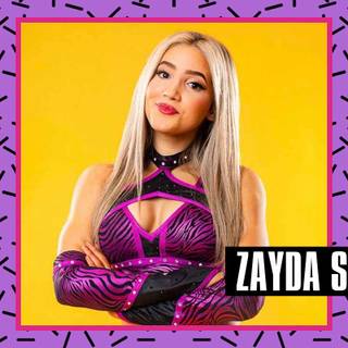 Zayda Steel wallpaper