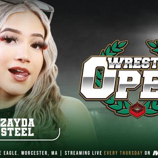 Zayda Steel wallpaper