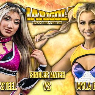 Zayda Steel wallpaper