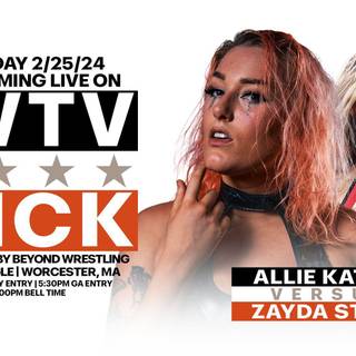 Zayda Steel wallpaper