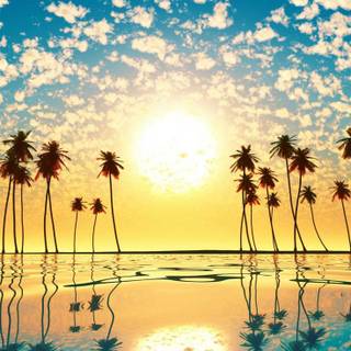 Reflecting sky and sunset wallpaper